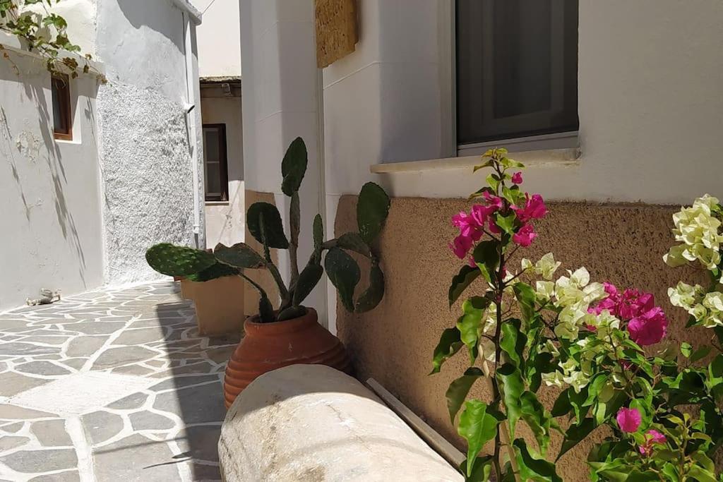 Vila Naxion Esti - Διαμονή Στην Παλιά Χώρα Της Νάξου Naxos City Exteriér fotografie