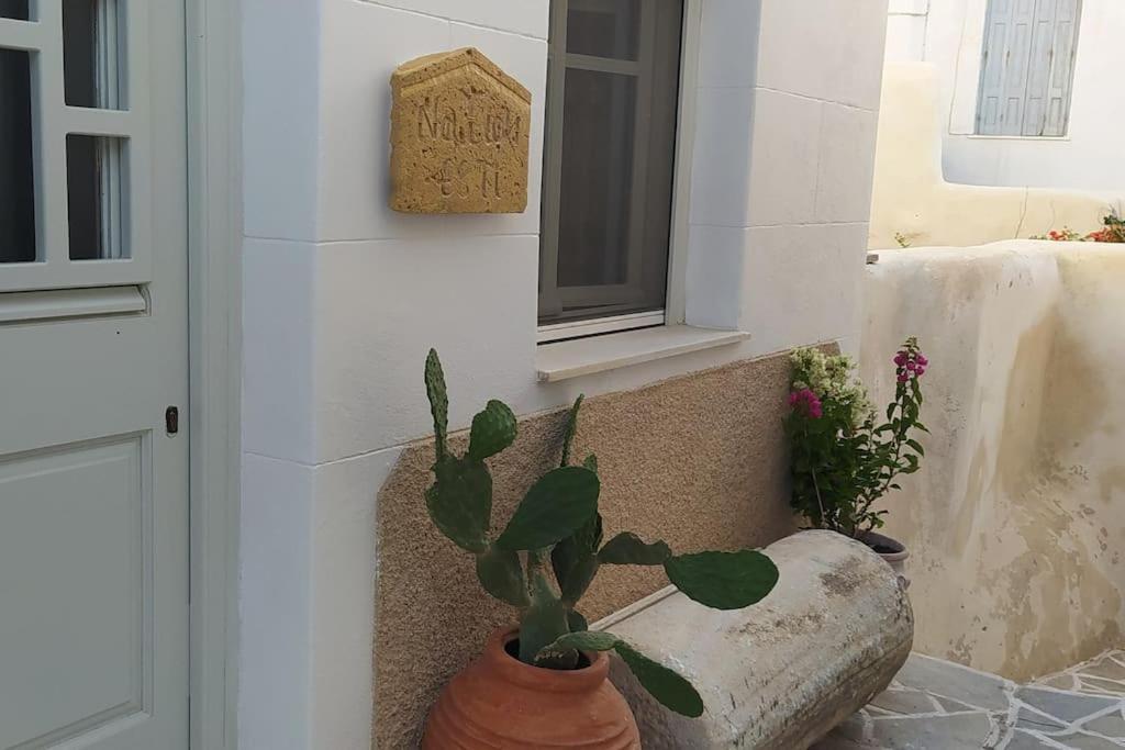 Vila Naxion Esti - Διαμονή Στην Παλιά Χώρα Της Νάξου Naxos City Exteriér fotografie